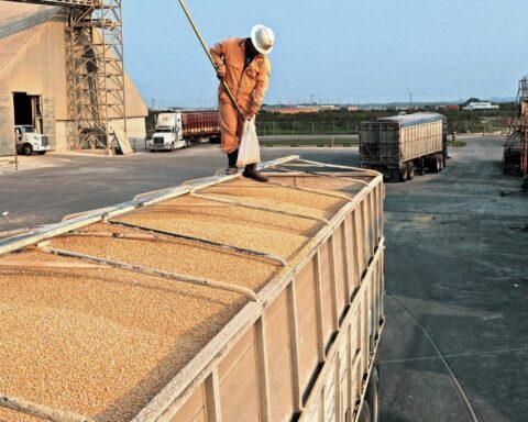 Soybeans, corn and wheat fall up to 40 cents in the Chicago market