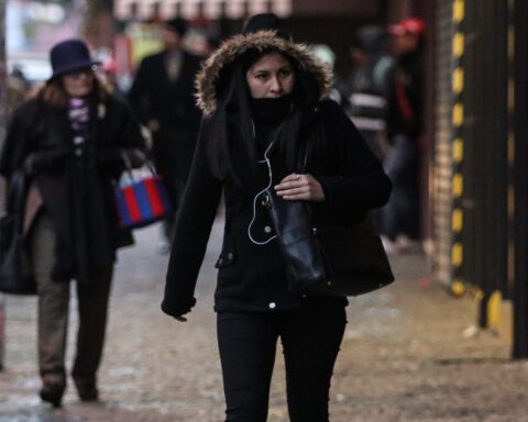 Start of the week with low temperatures and frosts