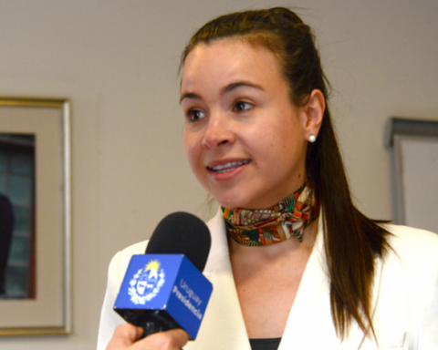 The Executive Branch authorized cable operators to provide internet services