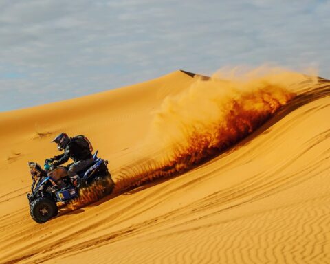 The Guarani Lion who seeks to be a legend