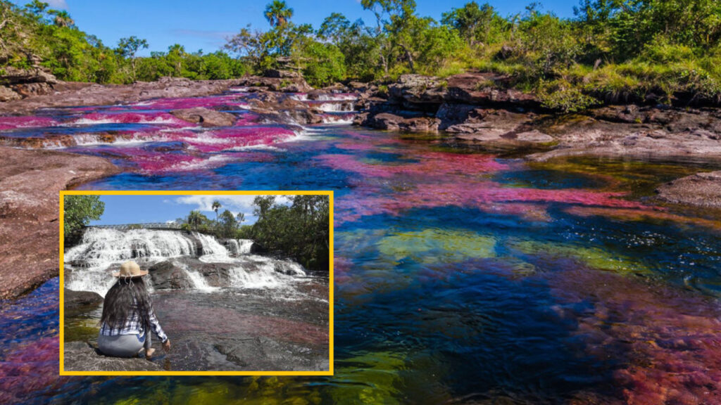 The 'Rio de los 7 Colores' in Caño Cristales receives tourists again, it had been closed in 2021