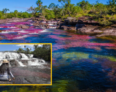 The 'Rio de los 7 Colores' in Caño Cristales receives tourists again, it had been closed in 2021