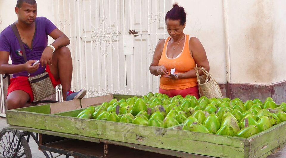The price of avocado is close to the value of the dollar, another "green" unattainable for Cubans