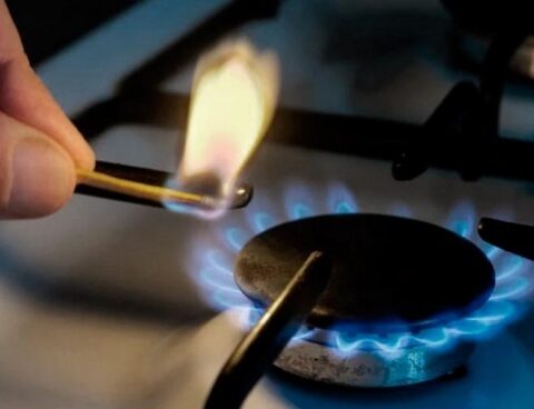 The use of public services grew 6.2% year-on-year