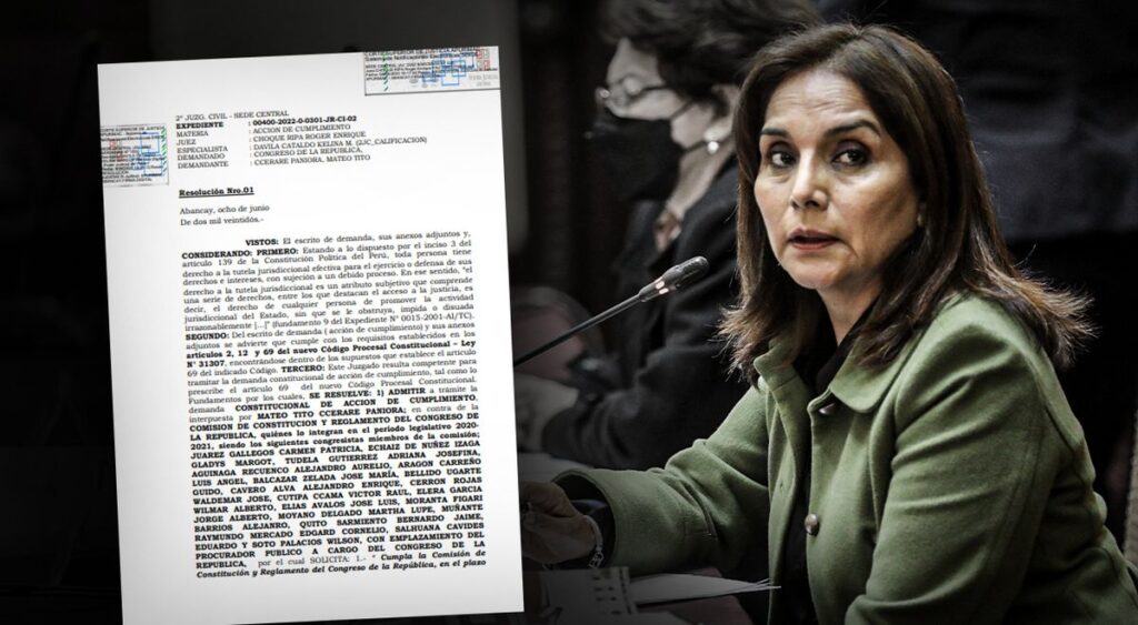 They admit a demand for the commission of Patricia Juárez to prepare a project for the total reform of the Constitution