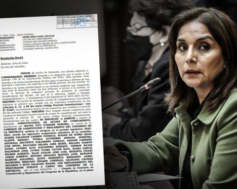 They admit a demand for the commission of Patricia Juárez to prepare a project for the total reform of the Constitution