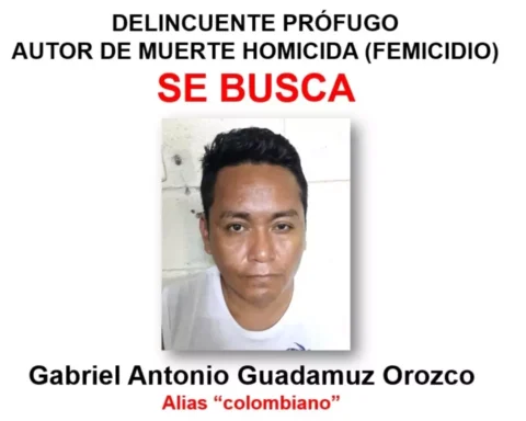 They are looking for a femicide who strangled and buried her partner in León