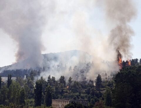 They fight several forest fires in Spain in the midst of an intense heat wave