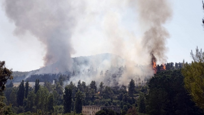 They fight several forest fires in Spain in the midst of an intense heat wave