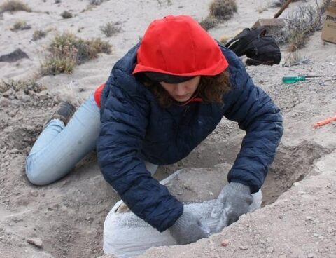 They found fossils of mammals that existed 38 million years ago