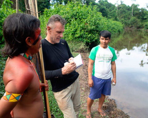They identify the remains of the journalist and the indigenist murdered in the Amazon jungle