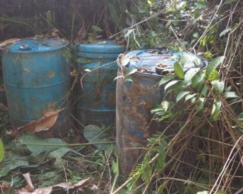 They locate 2,000 liters of gasoline near a clandestine runway in Zulia