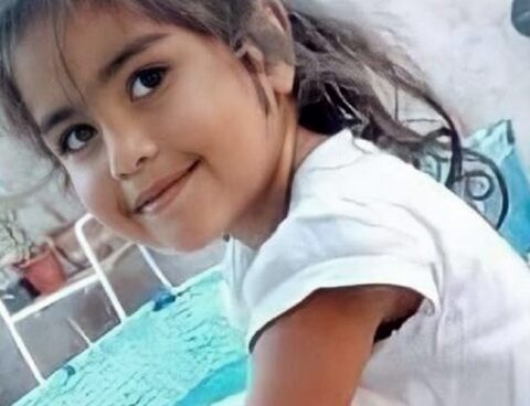 They propose to update the image of Guadalupe to reinvigorate the search