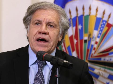 They rebuked the head of the OAS in a conference on the sidelines of the Summit of the Americas