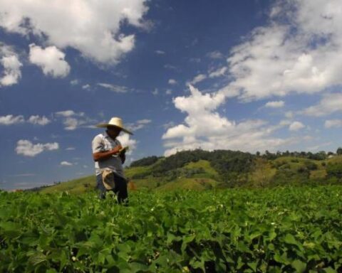 They seek to guarantee credits to small farmers in the countryside