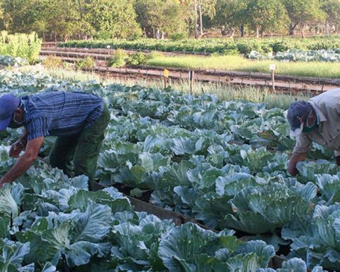Foto: Agencia Cubana de Noticias / Archivo.