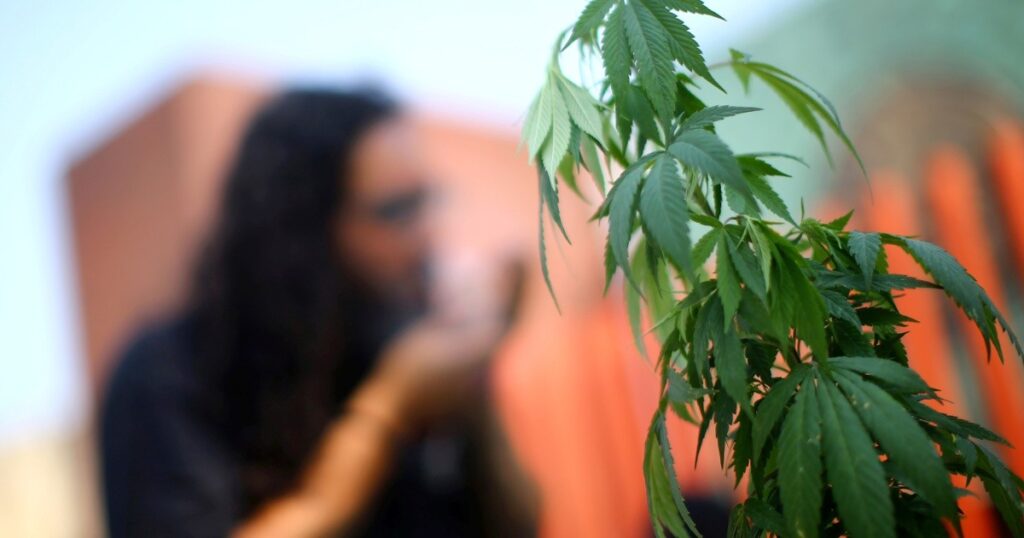 Uruguay analyzes that tourists can consume marijuana in its territory to increase its economy