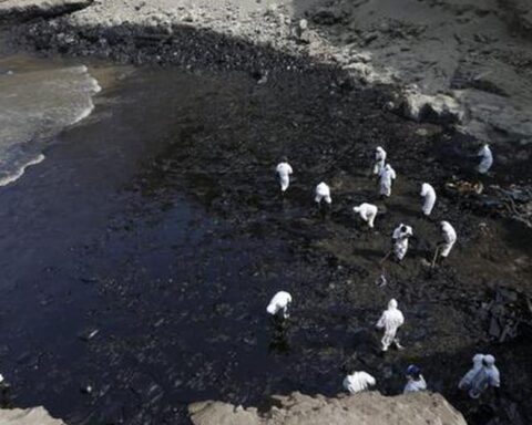 World Oceans Day: Effects of the oil spill on our sea