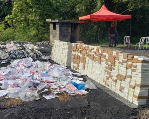 220 quintales de drogas incineradas en lo que va de año