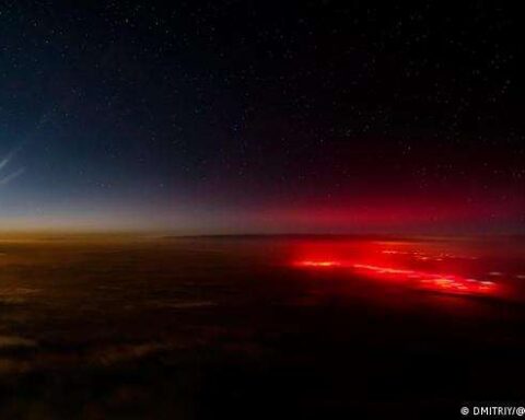 Tráiler: la actriz hispanocubana Ana de Armas retrata la trágica vida de Marilyn Monroe en “Blonde”