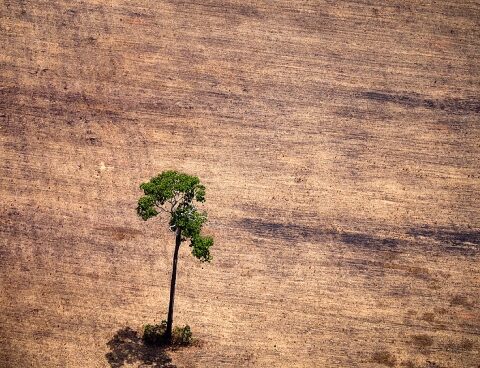 A public consultation is launched to collaborate on the national climate change strategy