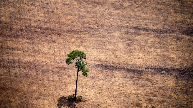 A public consultation is launched to collaborate on the national climate change strategy