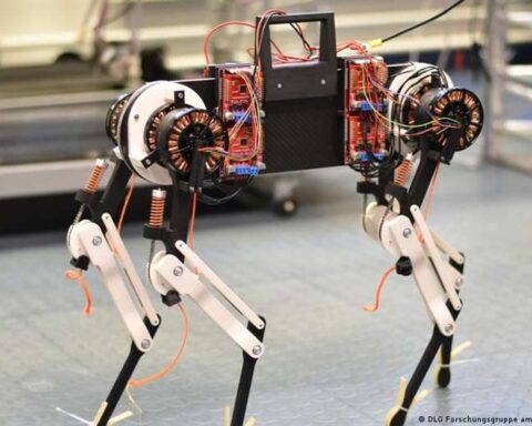 Un perro robot con "médula espinal virtual" aprende a caminar en solo una hora