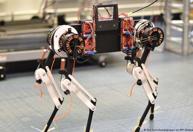 Un perro robot con "médula espinal virtual" aprende a caminar en solo una hora
