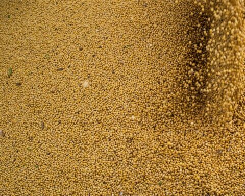 AEB projections for trade balance point to new records