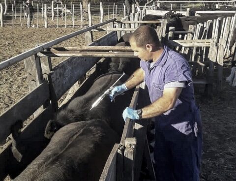 An Argentine company will build a foot-and-mouth disease vaccine plant in South Korea
