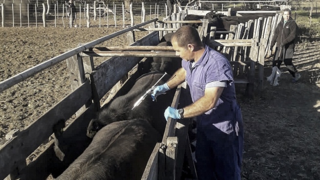 An Argentine company will build a foot-and-mouth disease vaccine plant in South Korea