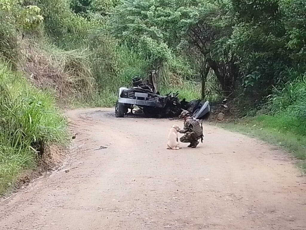 Army frustrates two terrorist actions against military units in Norte de Santander