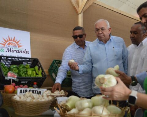 Bagrícola anuncia préstamos para promover “siembras de patrios”