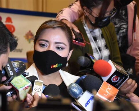 La viceministra de Comunicación, Gabriela Alcón Foto: Viceministerio de Comunicación