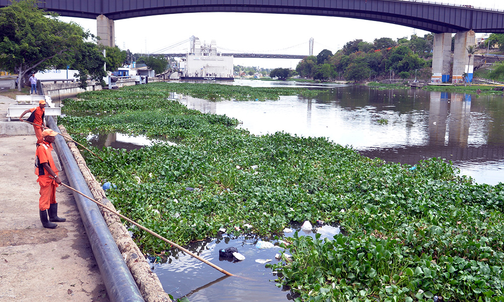 Brigades remove lilacs from the floating bridge of the Ozama River