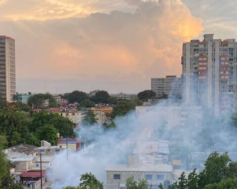 Concern among doctors about the increase in serious cases of dengue in Cuba