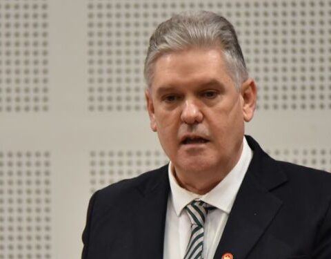 Alejandro Gil Fernández, Cuba