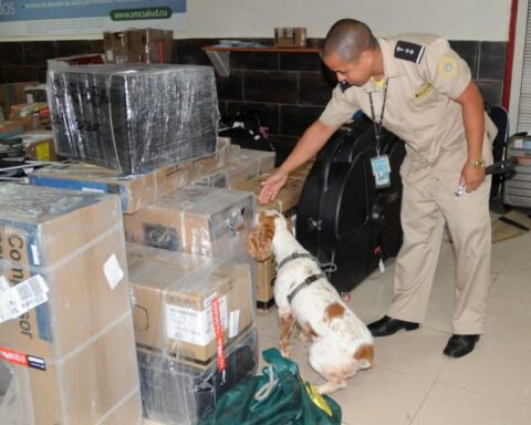 Inspección antidroga de la Aduana General de Cuba. Foto: Ismael Batista / Granma / Archivo.