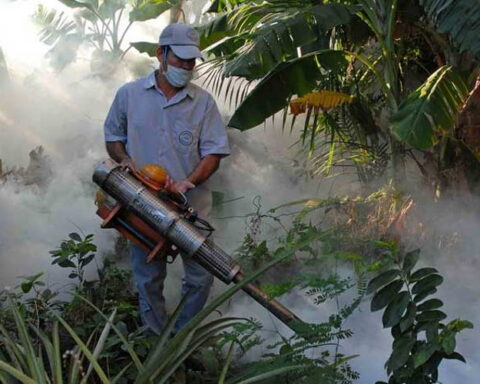 Dengue, Cuba, Casos, MINSAP