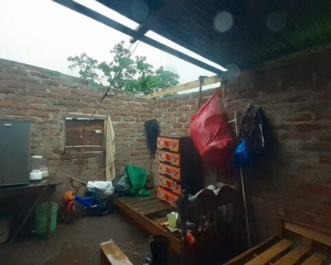 Downed trees and power poles, some of Bonnie's damage in Nicaragua