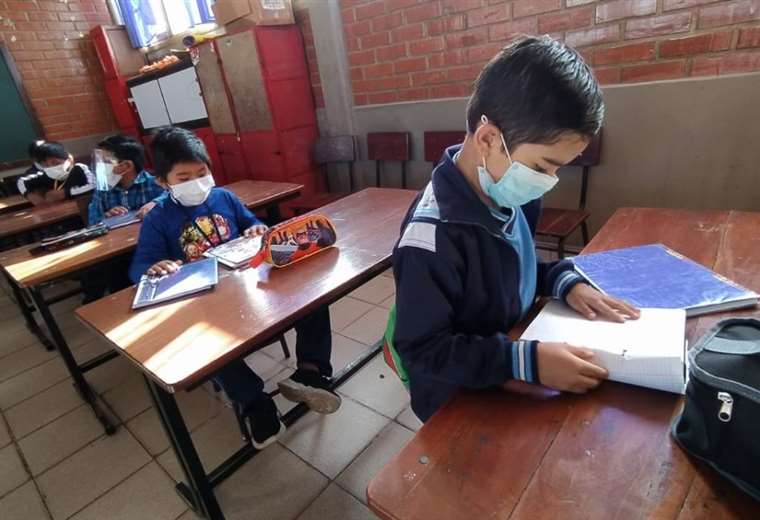 Las clases en Tarija I David Maygua.