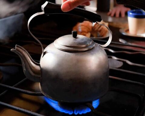 Electricity and gas subsidies: which groups should not be noted on the RASE form