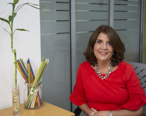 María Alicia Urbaneja, directora ejecutiva de Ecored.