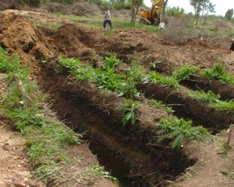 Excavation suspended in 300 Carlos