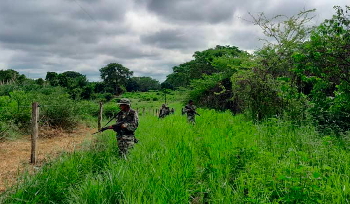 FANB deactivates explosives from Tancol groups in Apure