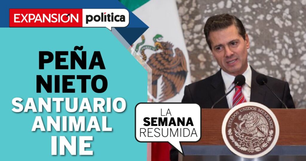 FIU investigates Peña Nieto, animal sanctuary and INE are closed in #LaSemanaResumida