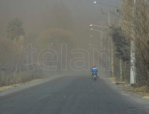 Fallen trees, blown roofs and fires due to the Zonda wind in Mendoza