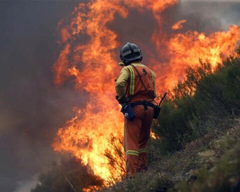 Forest fires continue to destroy thousands of hectares in Spain