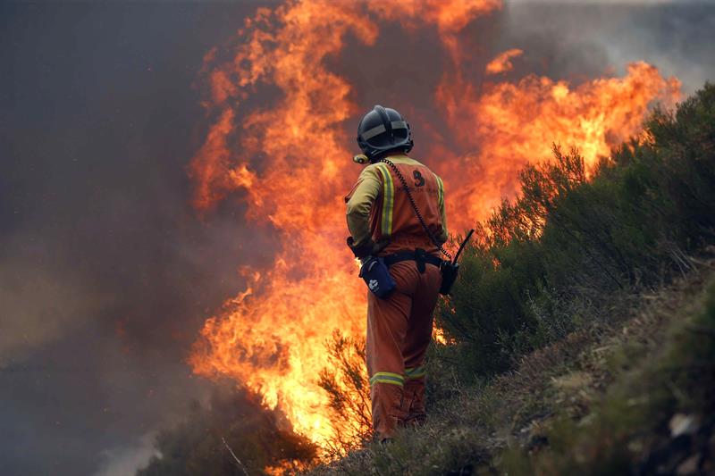 Forest fires continue to destroy thousands of hectares in Spain