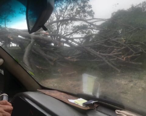 Four dead reported after passage of tropical storm Bonnie in Nicaragua